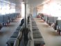 Passenger Ships & Special Purpose Boats