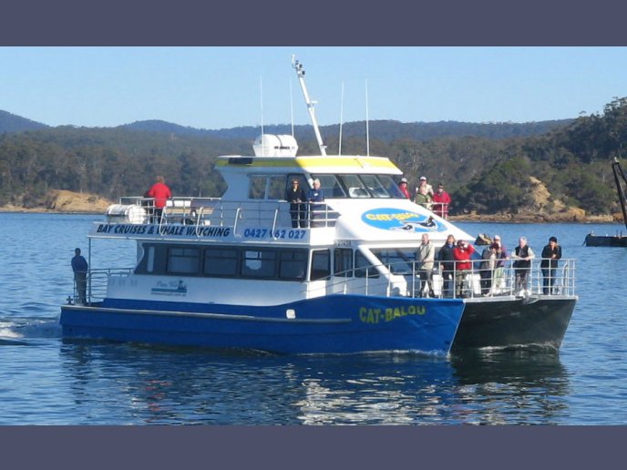 Passenger Ships & Special Purpose Boats